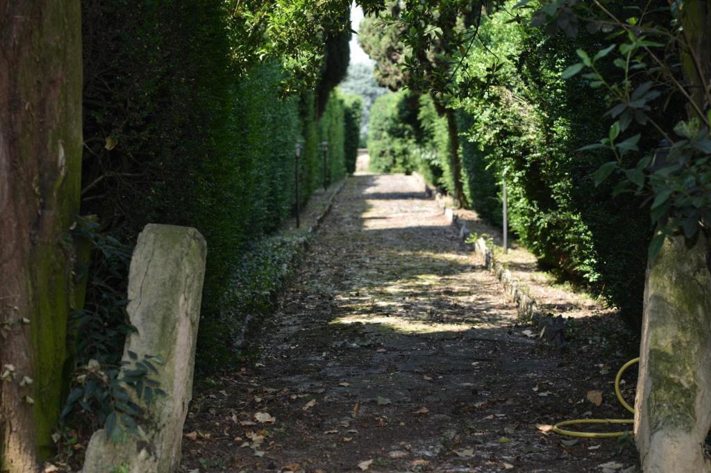 Relais Villa San Matteo 산피에트로인카리아노 외부 사진